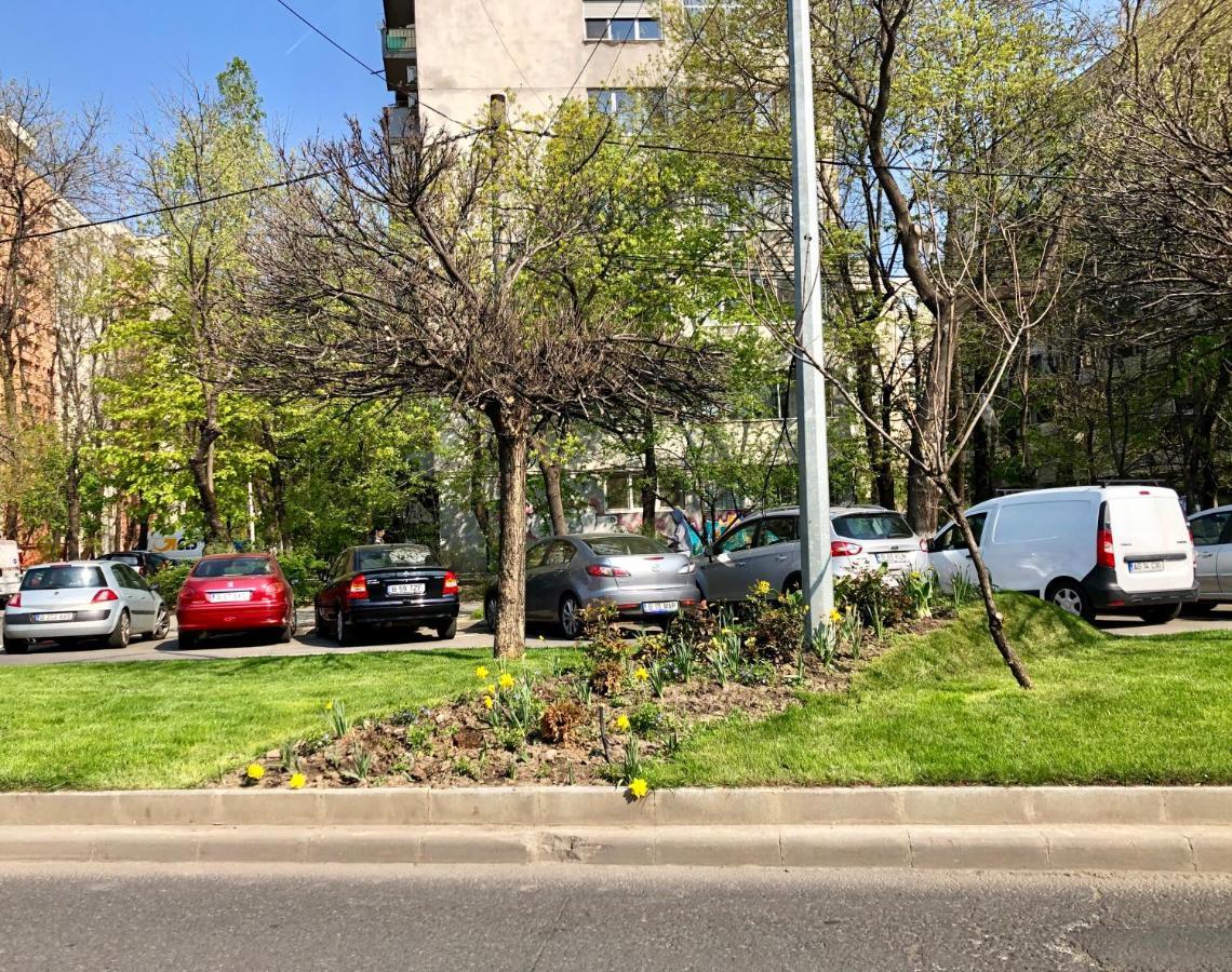 Cozy And Clean Apartment, Near National Arena Bukarest Exteriör bild